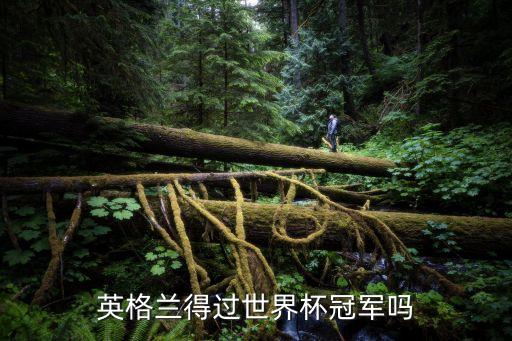 上海市第四屆春聯(lián)大賽，英格蘭得過世界杯冠軍嗎