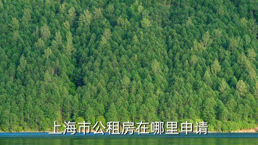 上海市公共租賃房在哪里申請表，上海市公租房在哪里申請
