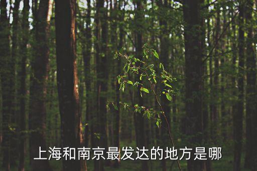 1912年的上海市長，上海和南京最發(fā)達的地方是哪