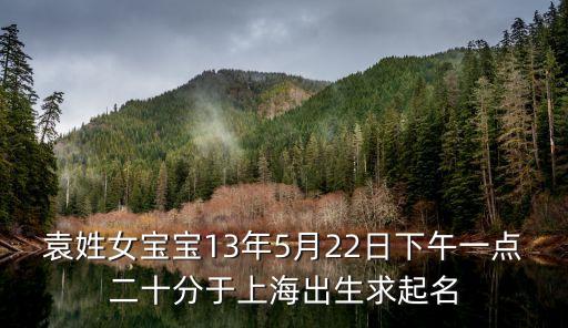 上海市委袁姓，袁姓女寶寶13年5月22日下午一點二十分于上海出生求起名