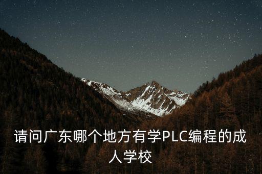 請問廣東哪個地方有學(xué)PLC編程的成人學(xué)校
