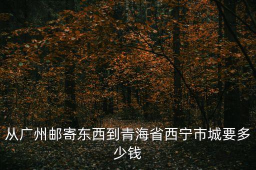 從廣州郵寄東西到青海省西寧市城要多少錢