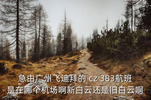 急由廣州飛迪拜的 cz 383航班是在哪個機場啊新白云還是舊白云啊