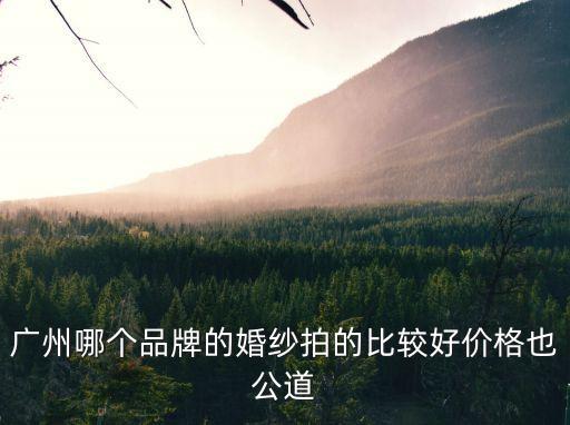 廣州哪個(gè)牌子婚紗照好，廣州哪個(gè)品牌的婚紗拍的比較好價(jià)格也比較公道
