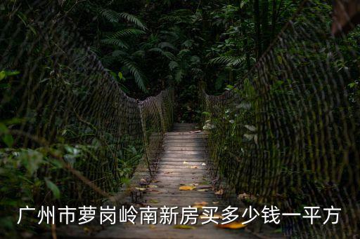廣州市蘿崗嶺南新房買多少錢一平方