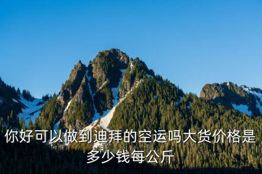 你好可以做到迪拜的空運(yùn)嗎大貨價(jià)格是多少錢每公斤