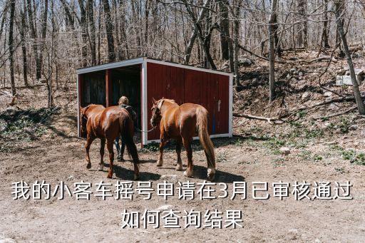 廣州小客車搖號怎么查，怎樣查看自己是否已經(jīng)伸請車牌搖號