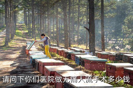 請(qǐng)問下你們醫(yī)院做無痛人流手術(shù)多少錢
