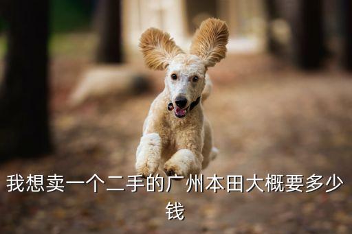 我想賣一個二手的廣州本田大概要多少錢