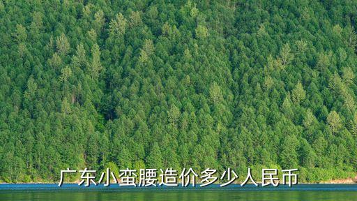 廣東小蠻腰造價多少人民幣