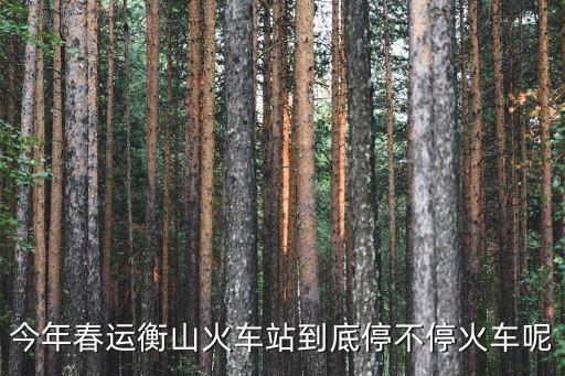 今年春運衡山火車站到底停不停火車呢