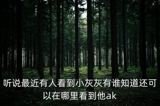 聽(tīng)說(shuō)最近有人看到小灰灰有誰(shuí)知道還可以在哪里看到他ak