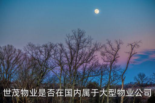 上海世茂地產廣州分公司，世茂物業是否在國內屬于大型物業公司