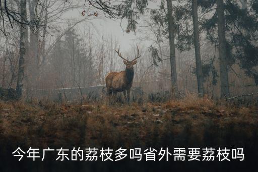 廣州荔枝真的那么多嗎，今年廣東的荔枝多嗎省外需要荔枝嗎