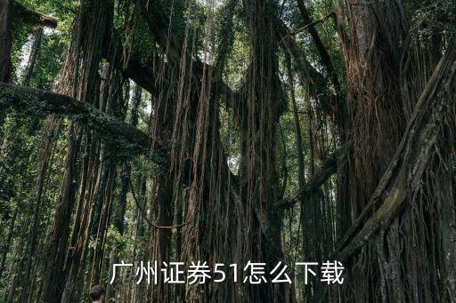 廣州證券順，廣州證券手機(jī)版無(wú)法應(yīng)用