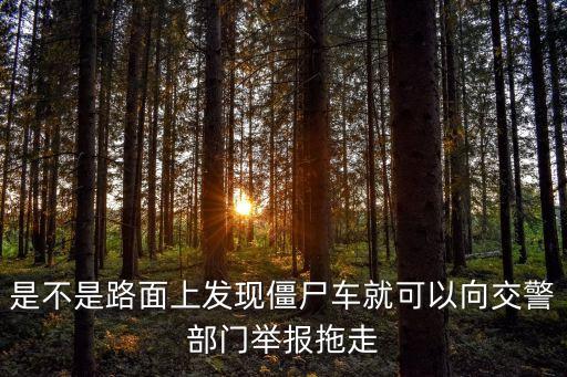 舉報僵尸車電話廣州，廣州報廢車舉報找那個部門那個電話