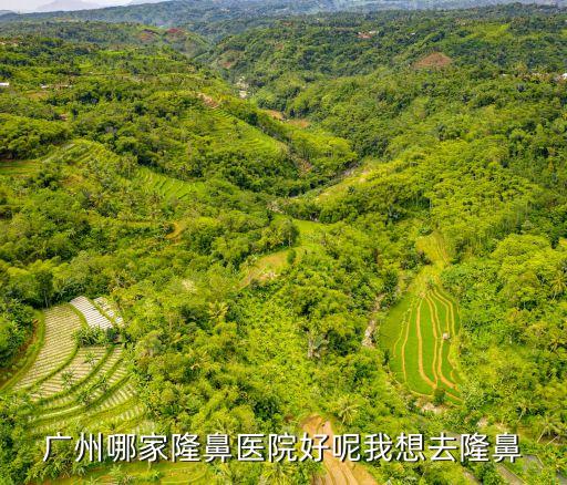 廣州隆鼻醫生海峽勝棒，廣州哪家隆鼻醫院好呢我想去隆鼻