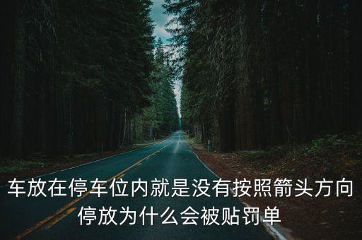 車(chē)放在停車(chē)位內(nèi)就是沒(méi)有按照箭頭方向停放為什么會(huì)被貼罰單