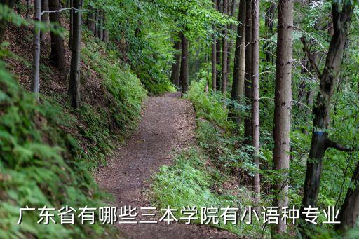 廣州本科小語種的大學，廣東3a學校有哪些有小語種專業