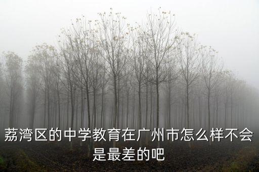 荔灣區的中學教育在廣州市怎么樣不會是最差的吧