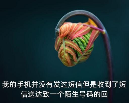 我的手機(jī)并沒有發(fā)過短信但是收到了短信送達(dá)致一個(gè)陌生號(hào)碼的回