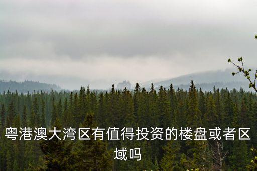 廣州大灣區買房建議，粵港澳大灣區有值得投資的樓盤或者區域嗎