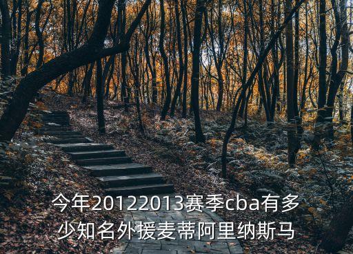 廣州隊外援解說，CBA廣東新外援