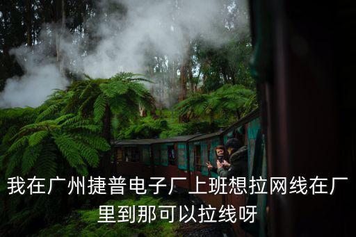 我在廣州捷普電子廠上班想拉網線在廠里到那可以拉線呀