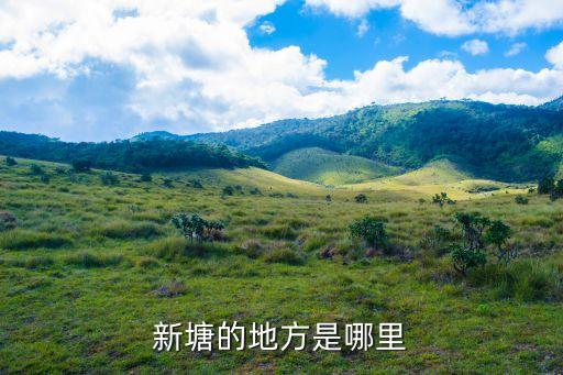廣州增城區新塘鎮塘美一坊街，新塘的地方是哪里