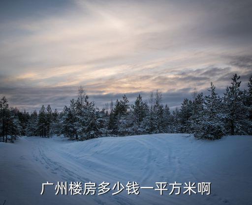 廣州錦鈺軒區(qū)最新房價，廣州樓房多少錢一平方米啊