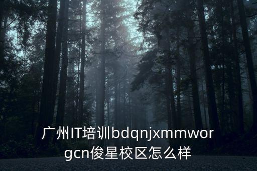 廣州IT培訓(xùn)bdqnjxmmworgcn俊星校區(qū)怎么樣