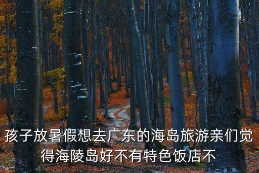 孩子放暑假想去廣東的海島旅游親們覺得海陵島好不有特色飯店不