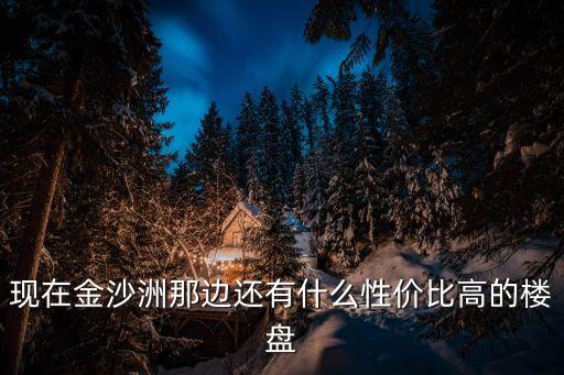 現(xiàn)在金沙洲那邊還有什么性?xún)r(jià)比高的樓盤(pán)