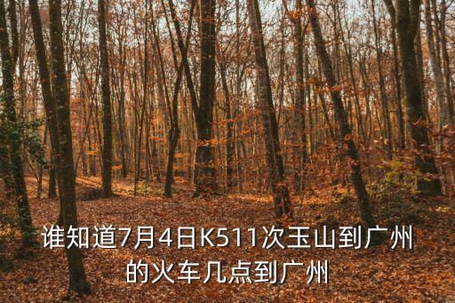 玉山縣城北客運(yùn)站到廣州的車，玉山到廣州有幾趟火車