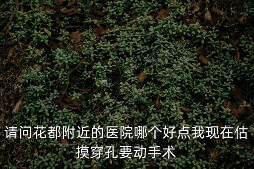 廣州花都醫(yī)院可以做羊水穿刺嗎，廣州孕前檢查項(xiàng)目花都區(qū)有沒(méi)有這樣的醫(yī)院