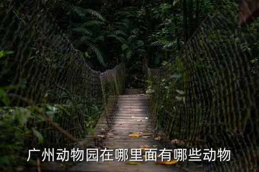 廣州有金絲猴嗎，能不能說一下廣州動物園里面動物是什么樣子的
