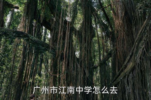 廣州市江南中學(xué)怎么去