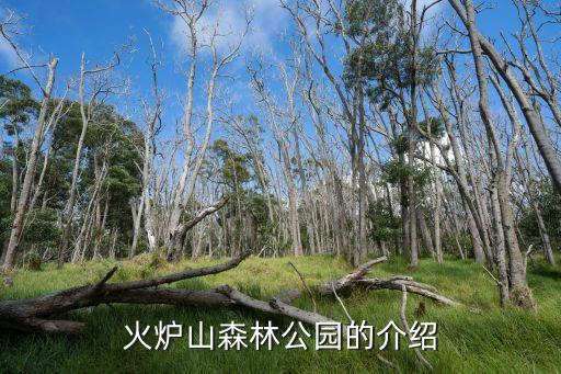 廣州火爐山有哪些景色，火爐山森林公園的介紹
