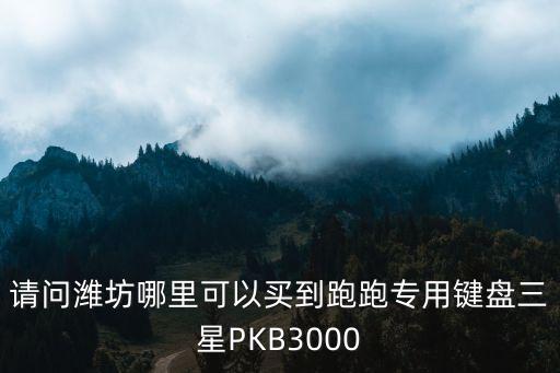 廣州卡丁車(chē)注意什么，請(qǐng)問(wèn)濰坊哪里可以買(mǎi)到跑跑專(zhuān)用鍵盤(pán)三星PKB3000