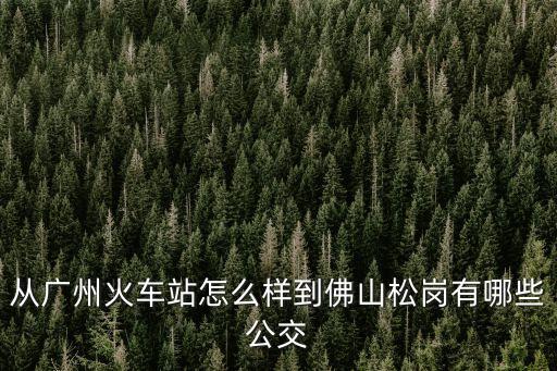 廣州火車站 大帥府，廣州火車站 終點站 的那個地方叫什么