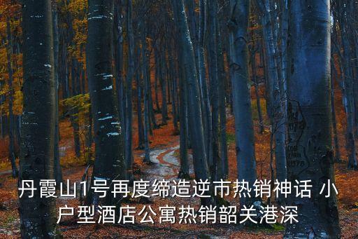 丹霞山1號再度締造逆市熱銷神話 小戶型酒店公寓熱銷韶關港深