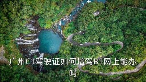 廣州寶慧通，廣州C1駕駛證如何增駕B1網上能辦嗎