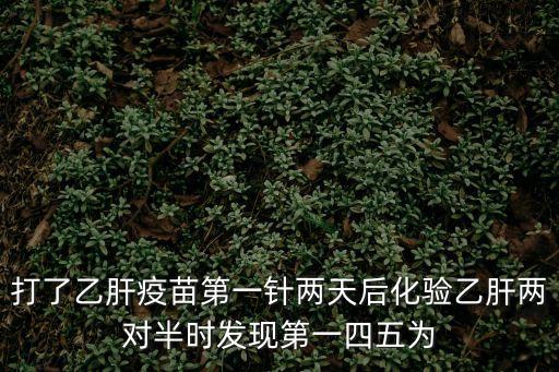 打了乙肝疫苗第一針兩天后化驗(yàn)乙肝兩對(duì)半時(shí)發(fā)現(xiàn)第一四五為