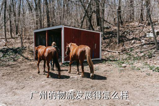 廣州的物流發(fā)展得怎么樣