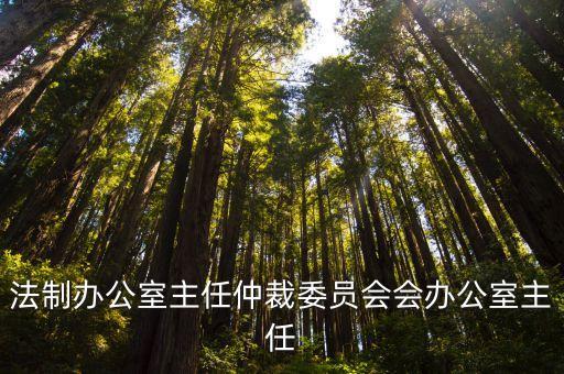 廣州仲裁委現任主任，仲裁委員會主任擔任仲裁員的決定主任的回避是什么意思呀