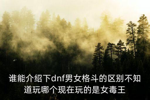 廣州版女毒王是謠言嗎，85版本女毒王好玩還是女武神好玩不是RMB玩家不過有時間玩