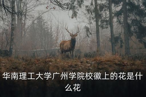 華南理工大學廣州學院校徽上的花是什么花