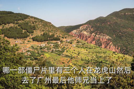 哪一部僵尸片里有三個人在龍虎山然后去了廣州最后他師兄當上了