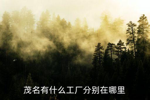 廣州茂名工廠，廣東茂名電白有什么工廠