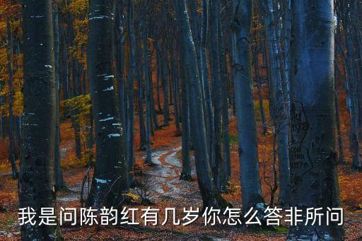 我是問陳韻紅有幾歲你怎么答非所問